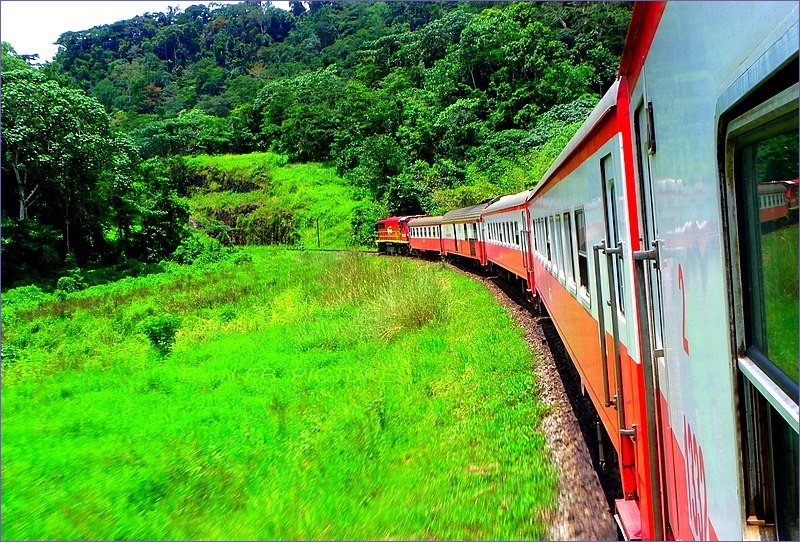 Train in Cameroon