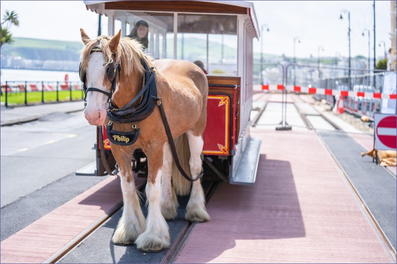 Trains in the Isle of Man