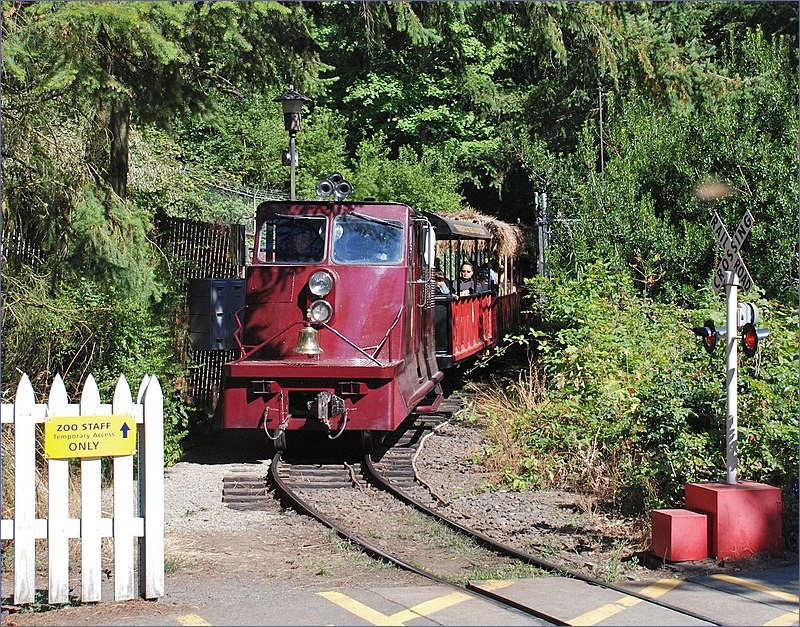 Oregon train travel