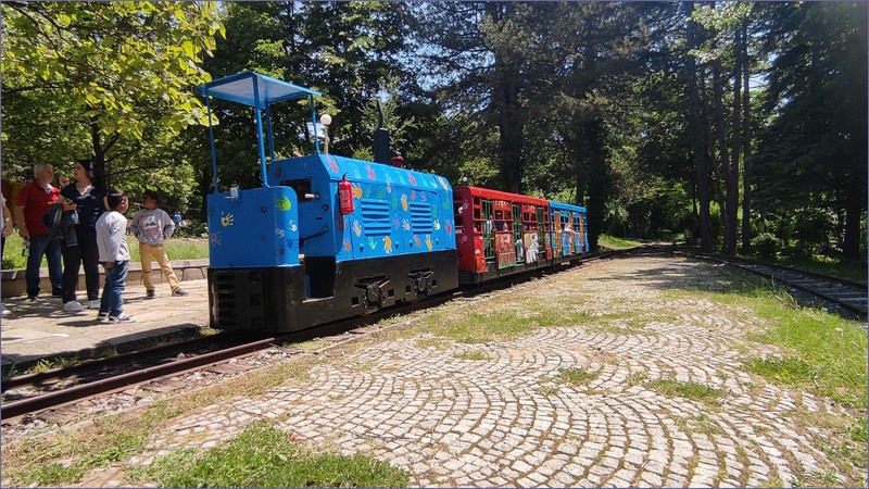 Kardzhali train