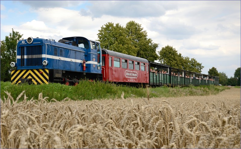 Narrow-gauge railways in Poland