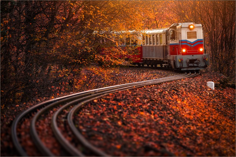 Narrow-gauge railways in Hungary