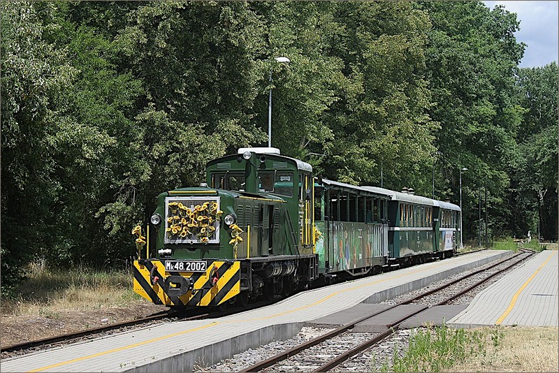 Hungary narrow-gauge railways