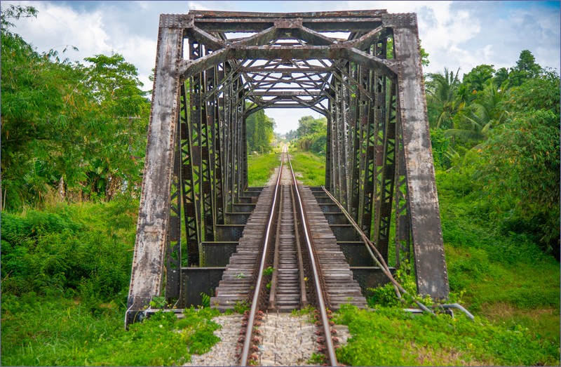 Jungle Line Malaysia