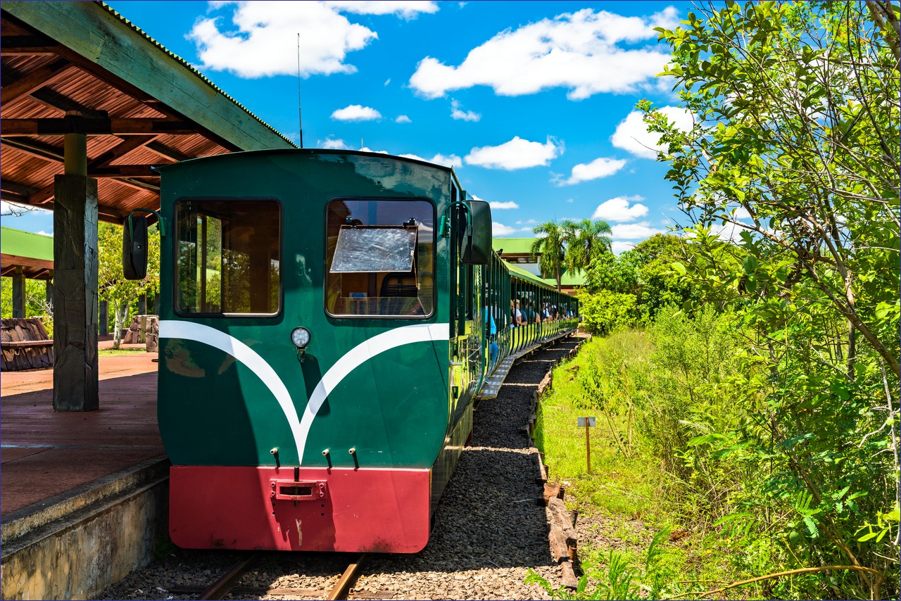 Train in Argentina