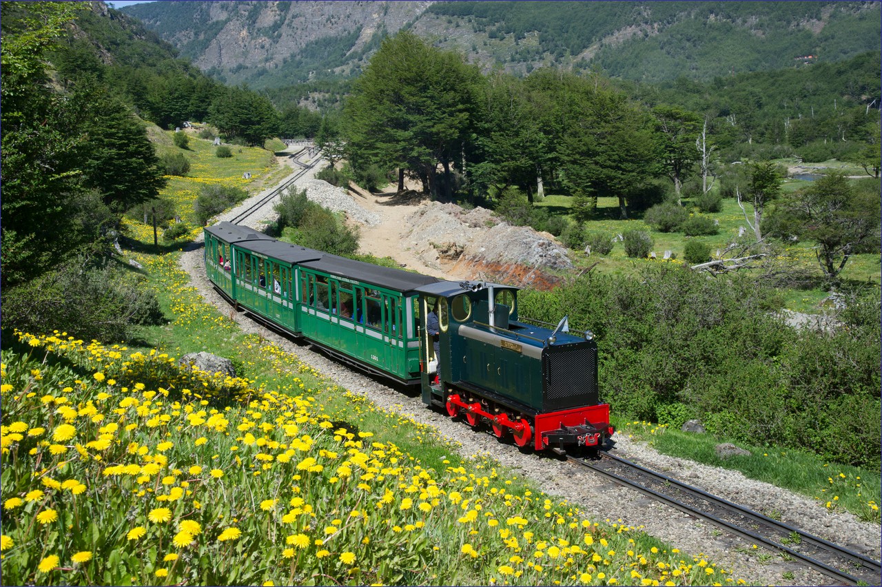Argentina train